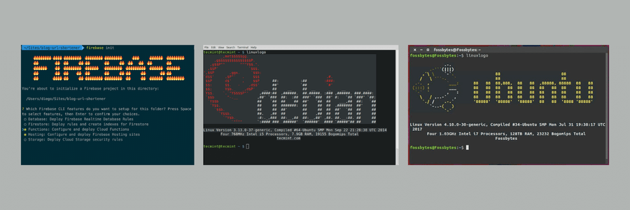 ASCII in Terminal